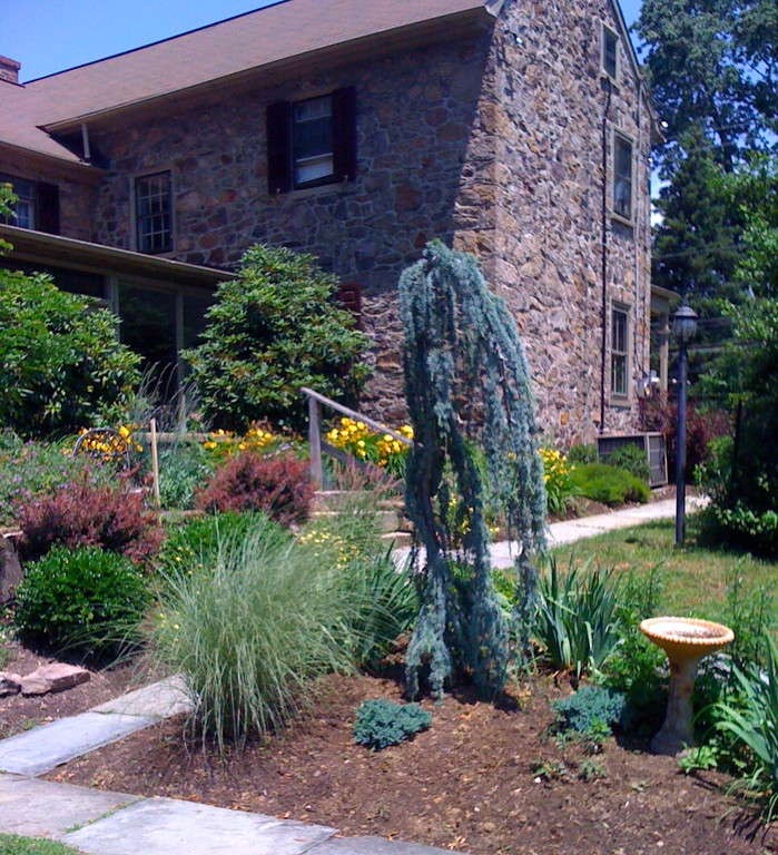 Matt Valentine Landscape Designer LTD