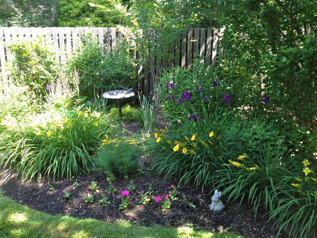 Matt Valentine Landscape Designer LTD