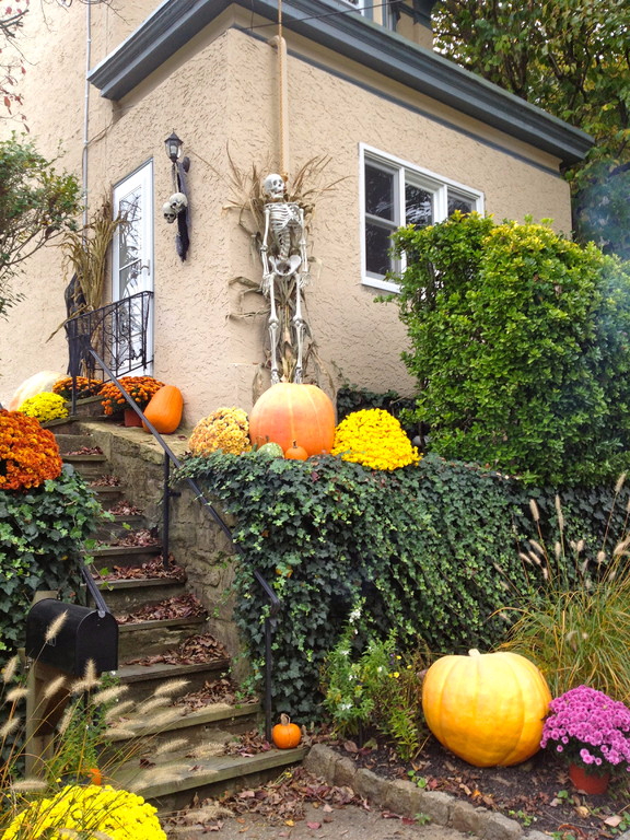 Matt Valentine Landscape Designer LTD