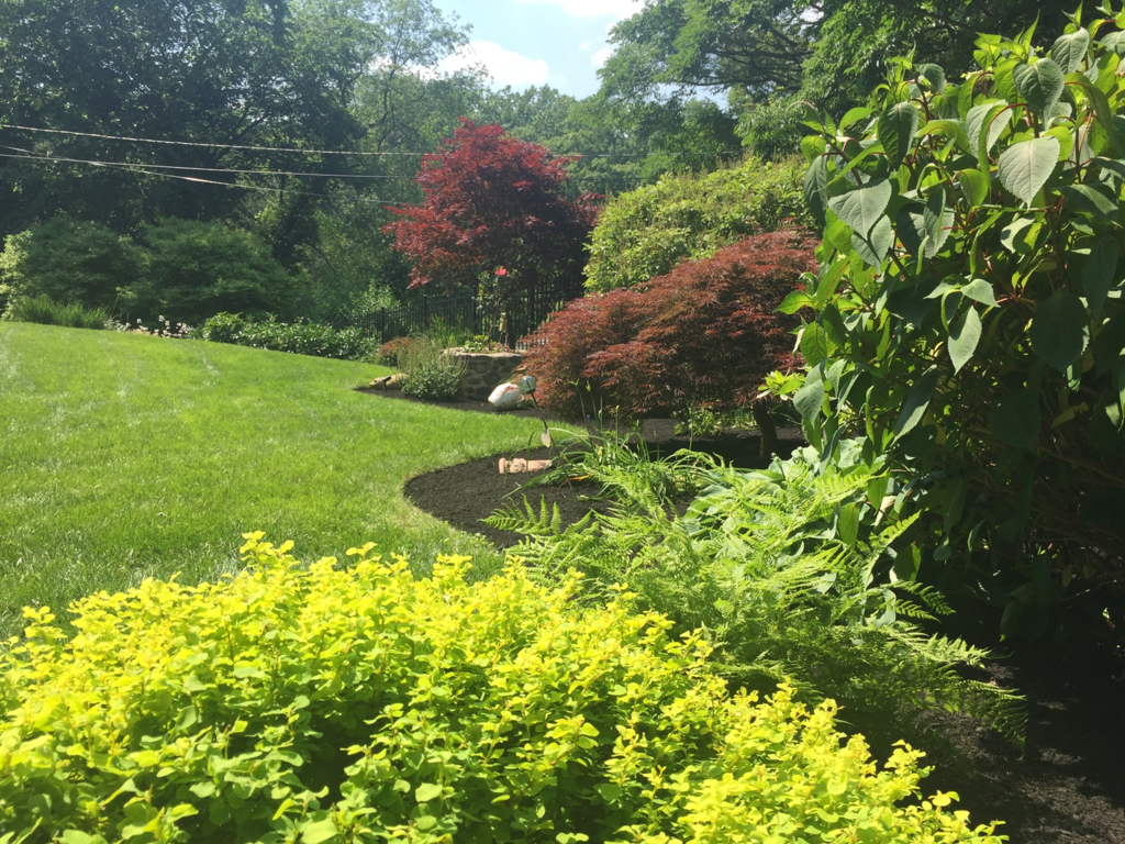 Matt Valentine Landscape Designer LTD