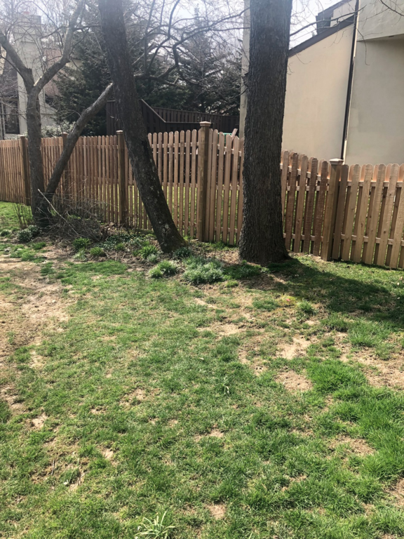Matt Valentine Landscape Designer LTD