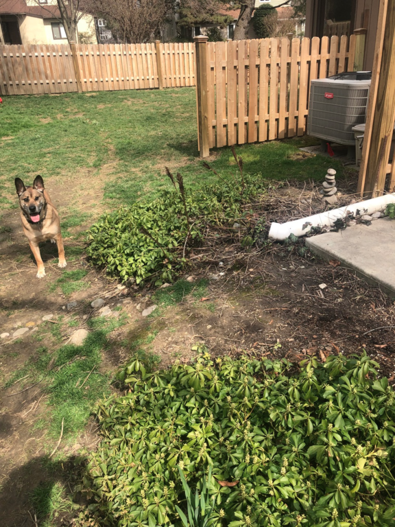 Matt Valentine Landscape Designer LTD