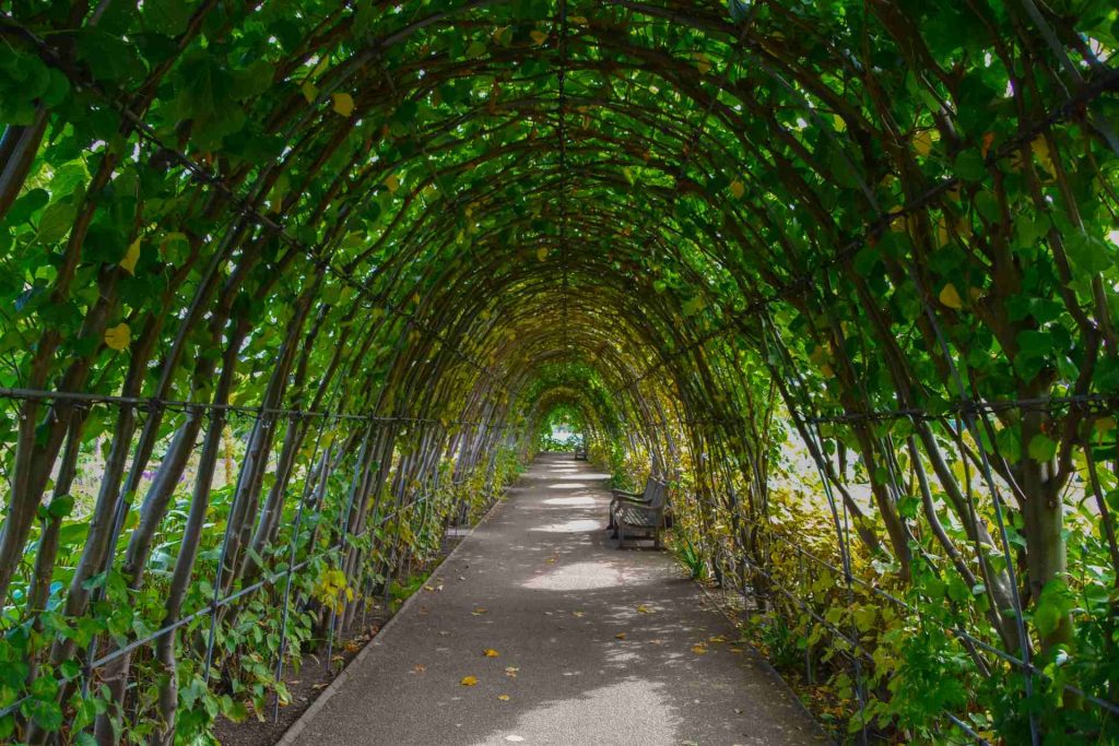 Matt Valentine Landscape Designer LTD